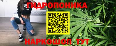 дживик Гусь-Хрустальный